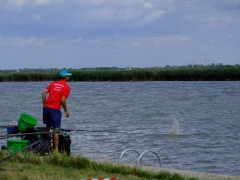 ohcsb_velence_2007_33