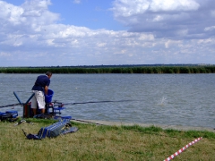 ohcsb_velence_2007_35