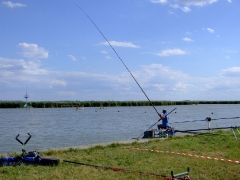 ohcsb_velence_2007_40