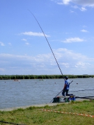 Csapatbajnokság 2007 (Velencei-tó)