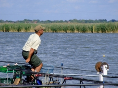 ohcsb_velence_2007_45