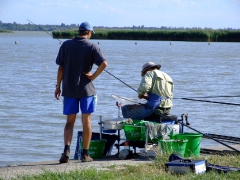 ohcsb_velence_2007_51