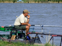 ohcsb_velence_2007_52