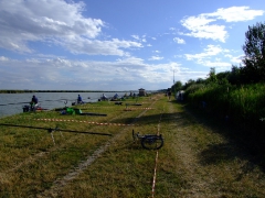 ohcsb_velence_2007_55