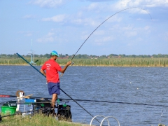 ohcsb_velence_2007_57