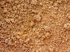 ohcsb_velence_2007_68