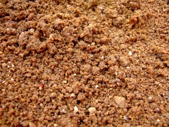 ohcsb_velence_2007_69