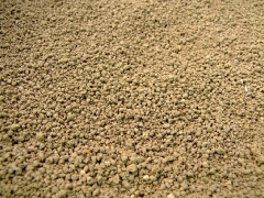 ohcsb_velence_2007_70