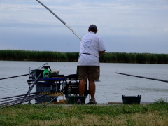 ohcsb_velence_2007_72