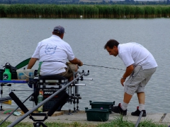 ohcsb_velence_2007_77