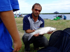 ohcsb_velence_2007_89