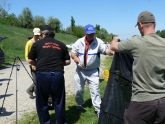 Csapatbajnokság 2008 (RSD)