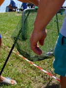 ohcsb_velence_2008_101