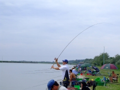 ohcsb_velence_2008_14