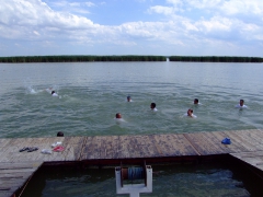 ohcsb_velence_2008_158