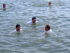 ohcsb_velence_2008_159