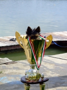 ohcsb_velence_2008_160