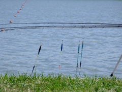 ohcsb_velence_2008_19