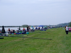 ohcsb_velence_2008_1