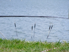 ohcsb_velence_2008_20