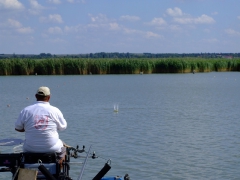 ohcsb_velence_2008_27