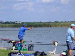 ohcsb_velence_2008_28