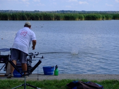 ohcsb_velence_2008_30