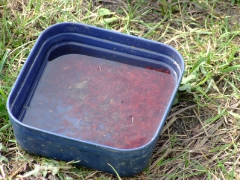 Csapatbajnokság 2008 (Velencei-tó)