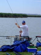 ohcsb_velence_2008_37