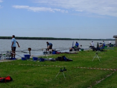 ohcsb_velence_2008_43