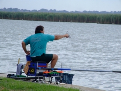 ohcsb_velence_2008_45