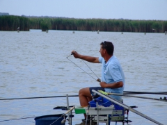 ohcsb_velence_2008_46