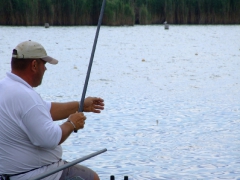 ohcsb_velence_2008_48