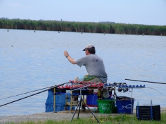 ohcsb_velence_2008_51