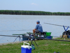 ohcsb_velence_2008_52