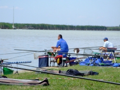 ohcsb_velence_2008_53