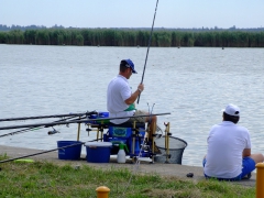 ohcsb_velence_2008_54