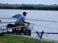 ohcsb_velence_2008_59