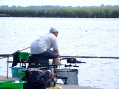 ohcsb_velence_2008_60