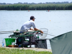 ohcsb_velence_2008_62