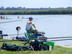 ohcsb_velence_2008_63