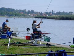 ohcsb_velence_2008_69