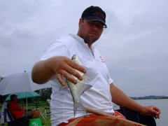 ohcsb_velence_2008_6