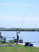 ohcsb_velence_2008_72