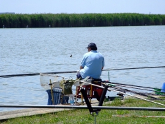 ohcsb_velence_2008_74