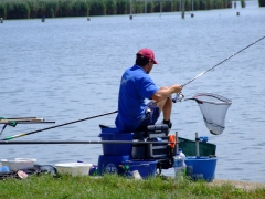 ohcsb_velence_2008_77