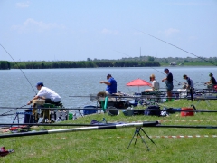 ohcsb_velence_2008_78