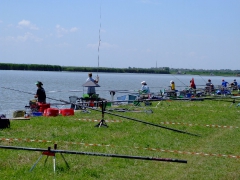 ohcsb_velence_2008_81