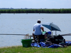 ohcsb_velence_2008_82