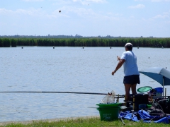 ohcsb_velence_2008_83